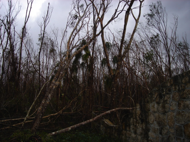 dsc00450.jpg